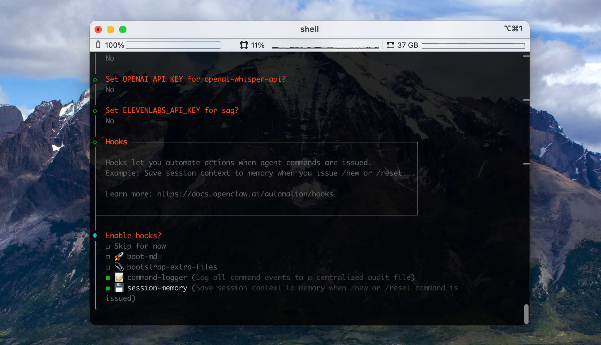 配置向导 — OpenClaw screenshot