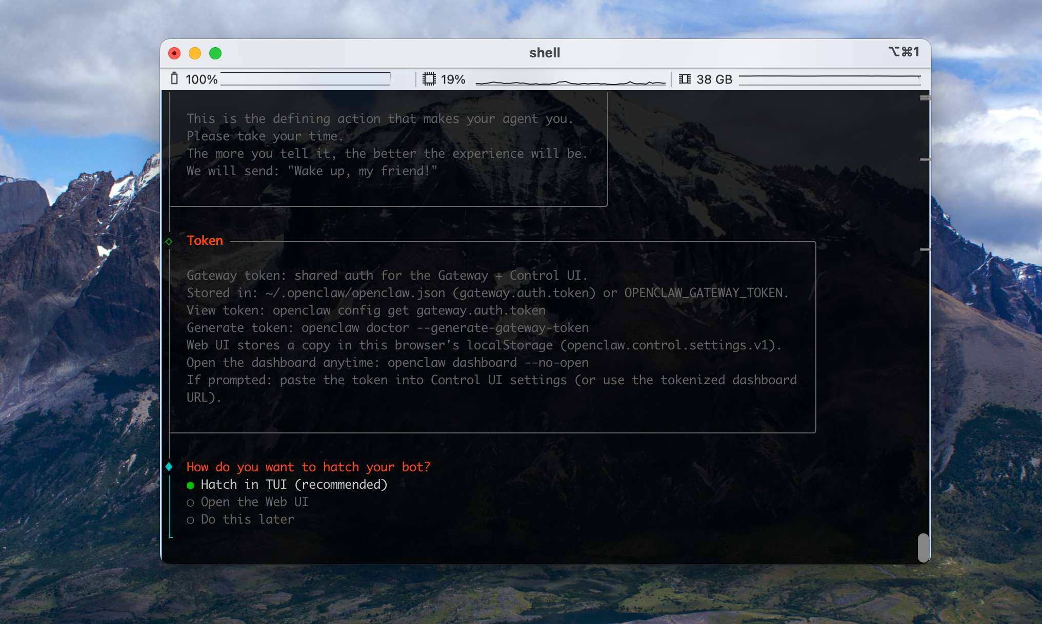配置向导 — OpenClaw screenshot
