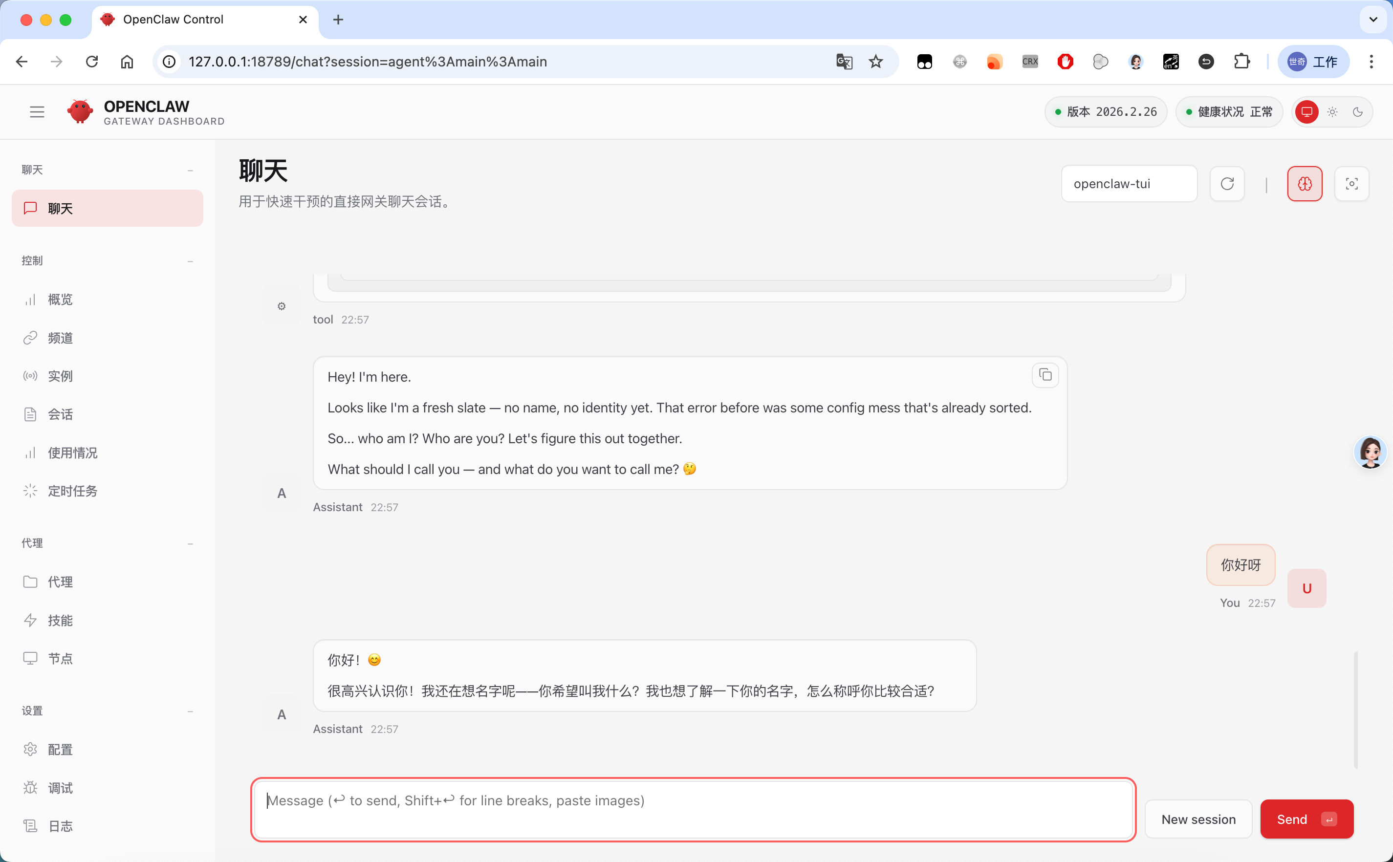 配置向导 — OpenClaw screenshot